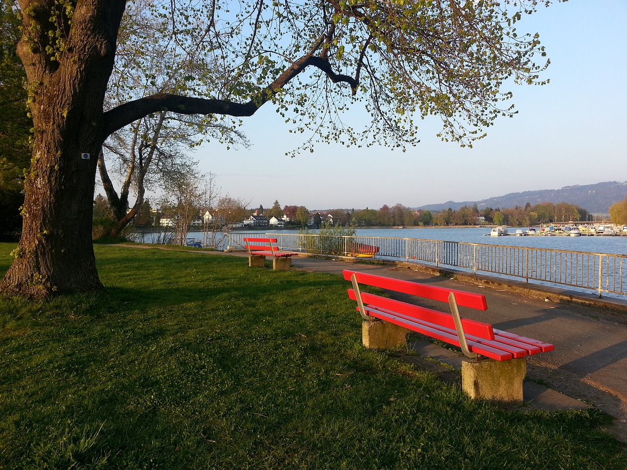 这些案例都 这些案例都