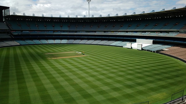 场观众的热 场观众的热