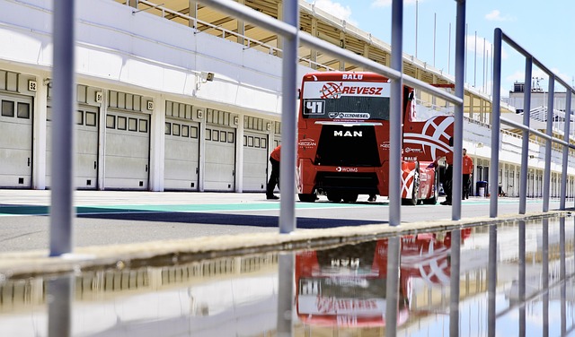 阴冷环境中 阴冷环境中