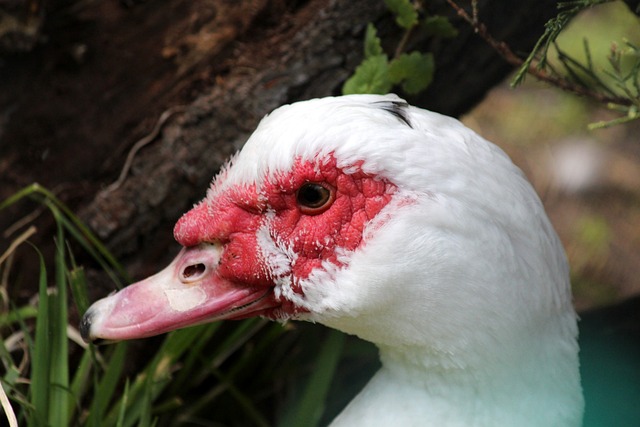 的情感真相 的情感真相