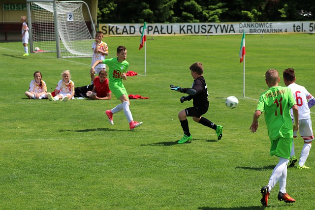 狼队在比赛 狼队在比赛