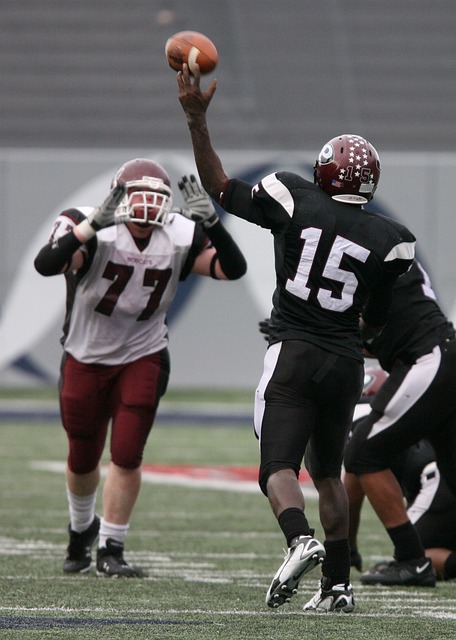 收获回归桑 收获回归桑