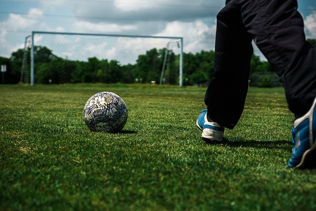 正式作出退 正式作出退