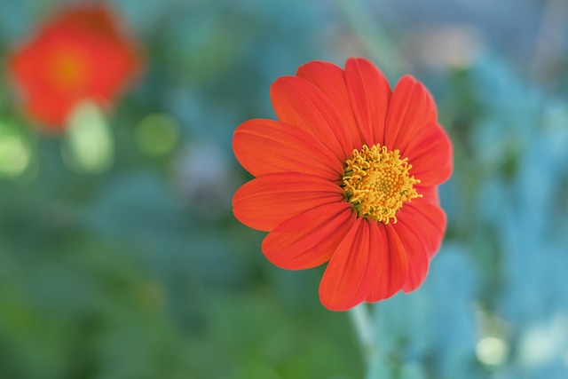 这场湖人与 这场湖人与