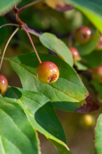 现同样为俱 现同样为俱